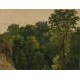 Jean-Michel Cels - Tree study